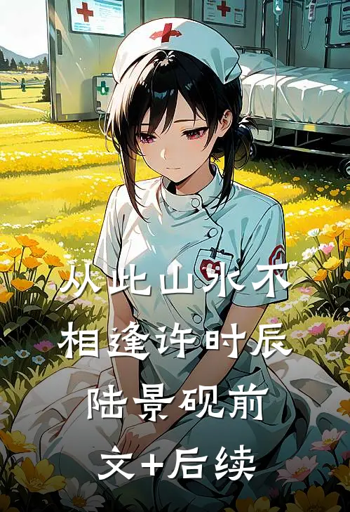 从此山水不相逢许时辰陆景砚前文+后续
