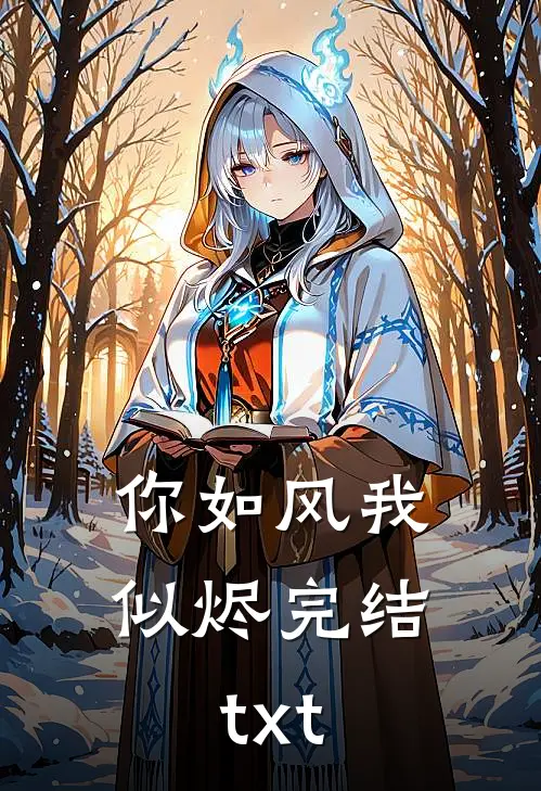 你如风我似烬完结txt
