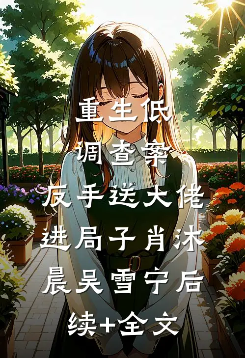 重生低调查案，反手送大佬进局子肖沐晨吴雪宁后续+全文