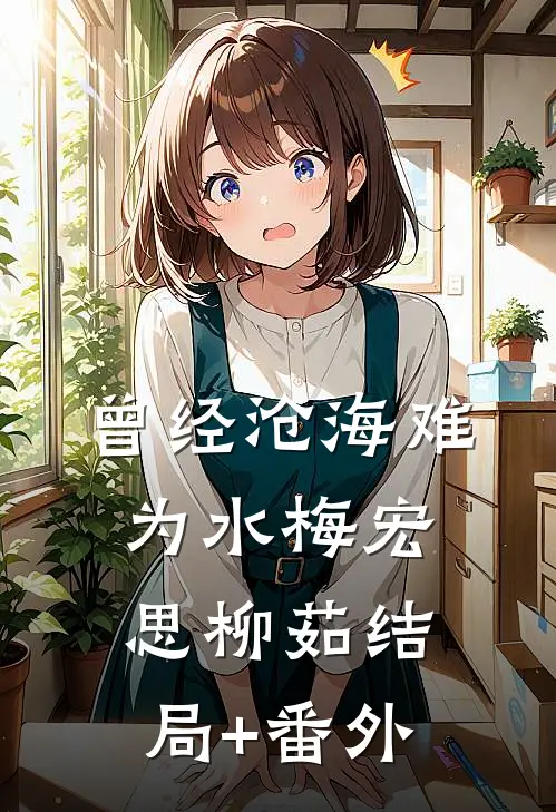 曾经沧海难为水梅宏思柳茹结局+番外