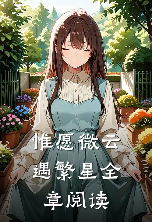 惟愿微云遇繁星全章阅读